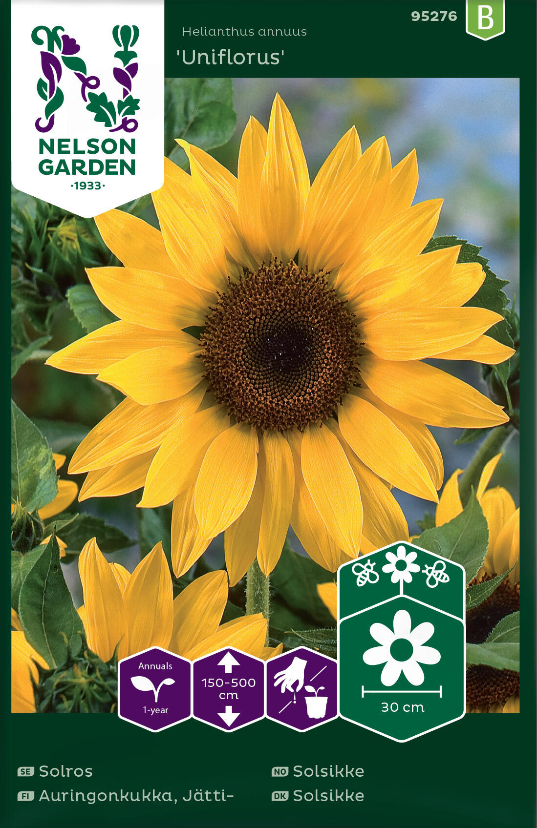 Solsikke 'Uniflorus'